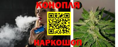 тгк Гай