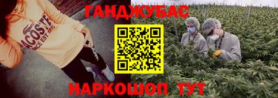 тгк Гай