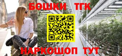 тгк Гай