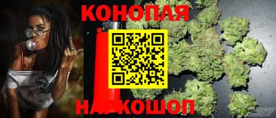 тгк Гай