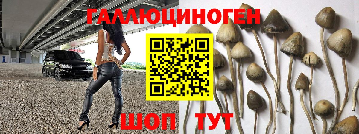 Псилоцибиновые грибы мухоморы Киржач