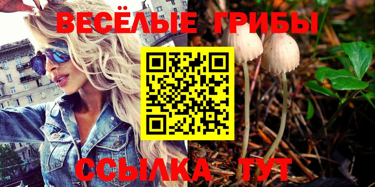 как найти закладки  Псилоцибиновые грибы Magic Shrooms  Вход с VPN  Киржач  Галлюциногенные грибы GOLDEN TEACHER 
